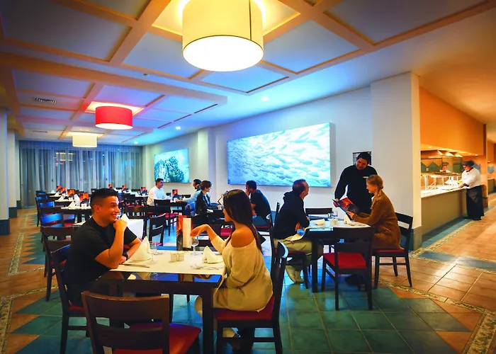 3hb Guarana アルブフェイラ